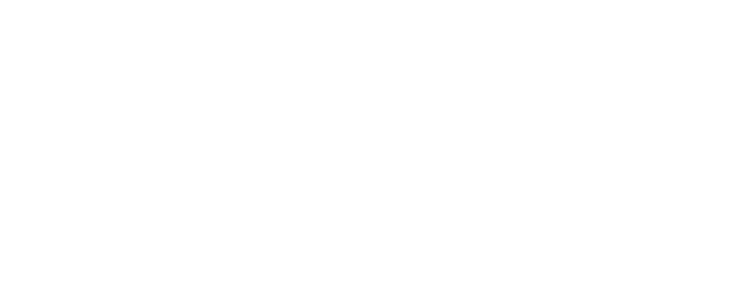Logo e1774037350594