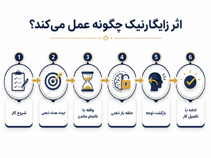 اینفوگرافیک اثر زایگارنیک چگونه عمل میکند
